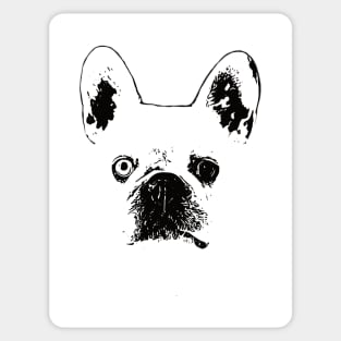 French Bulldog Face Sticker